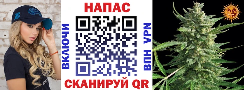 где купить   Ликино-Дулёво  Бошки марихуана SATIVA & INDICA 